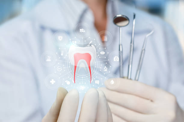 Best Cosmetic Dentistry  in Pinewood, FL
